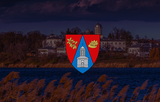 Norway is recognized for its substantial contribut to foreign aid and development pro